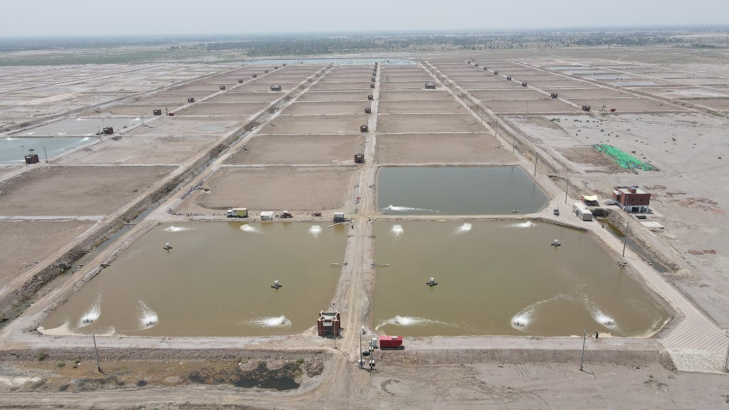 Aerial view of aquaculture ponds